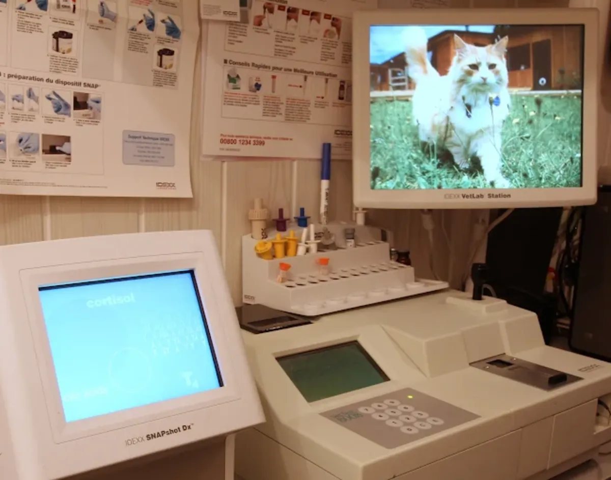 Batignolles Veterinary Clinic – Paris 17 (Sevetys) - Paris