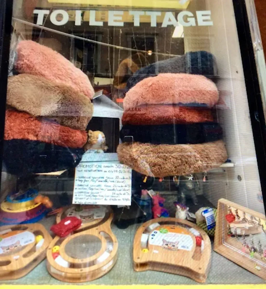 BIGOUDI – Dog & cat grooming (Lyon 6th arrondissement) - Lyon