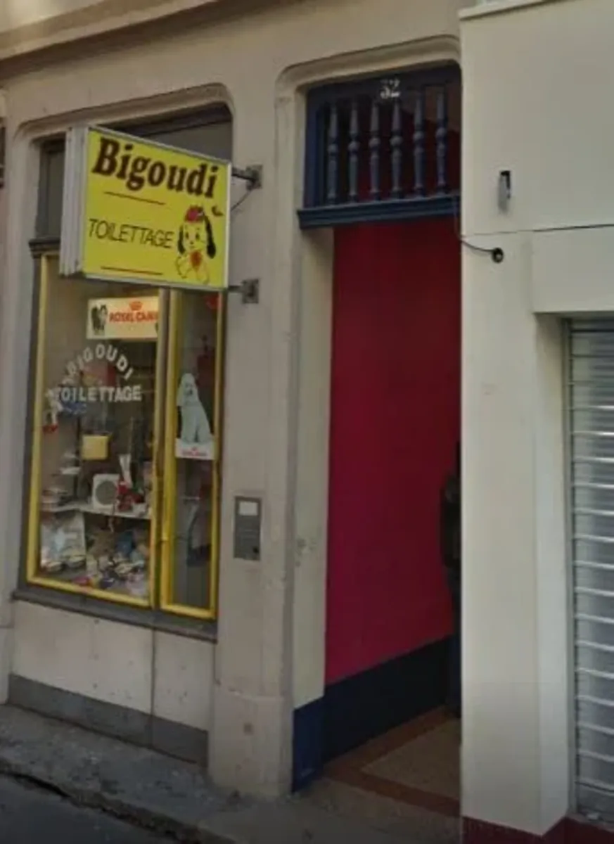 BIGOUDI – Dog & cat grooming (Lyon 6th arrondissement) - Lyon