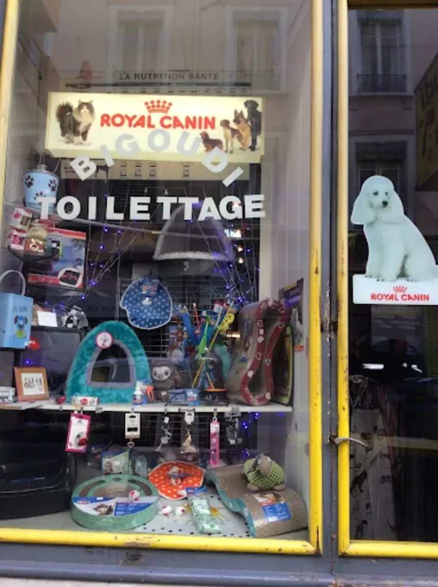 BIGOUDI – Dog & cat grooming (Lyon 6th arrondissement) - Lyon