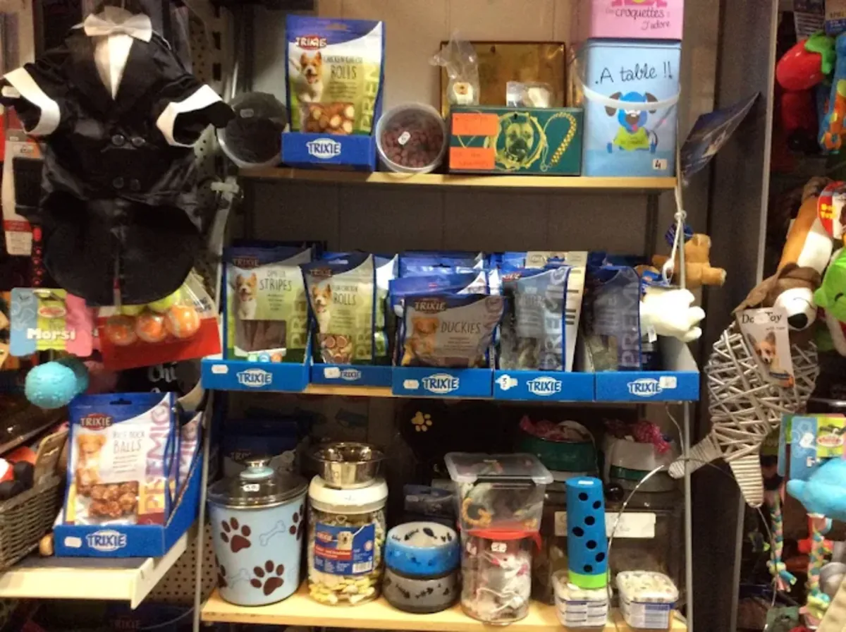 BIGOUDI – Dog & cat grooming (Lyon 6th arrondissement) - Lyon