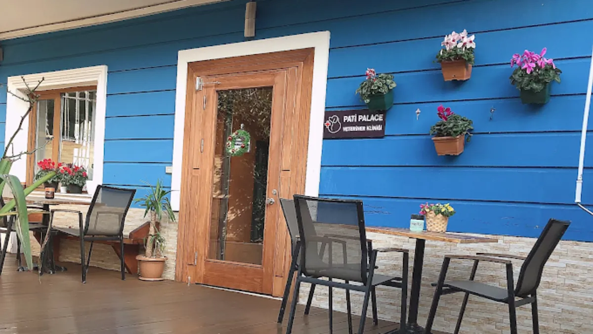 Pati Palace Veterinary Clinic – Reliable Veterinary Services in Istanbul - İstanbul