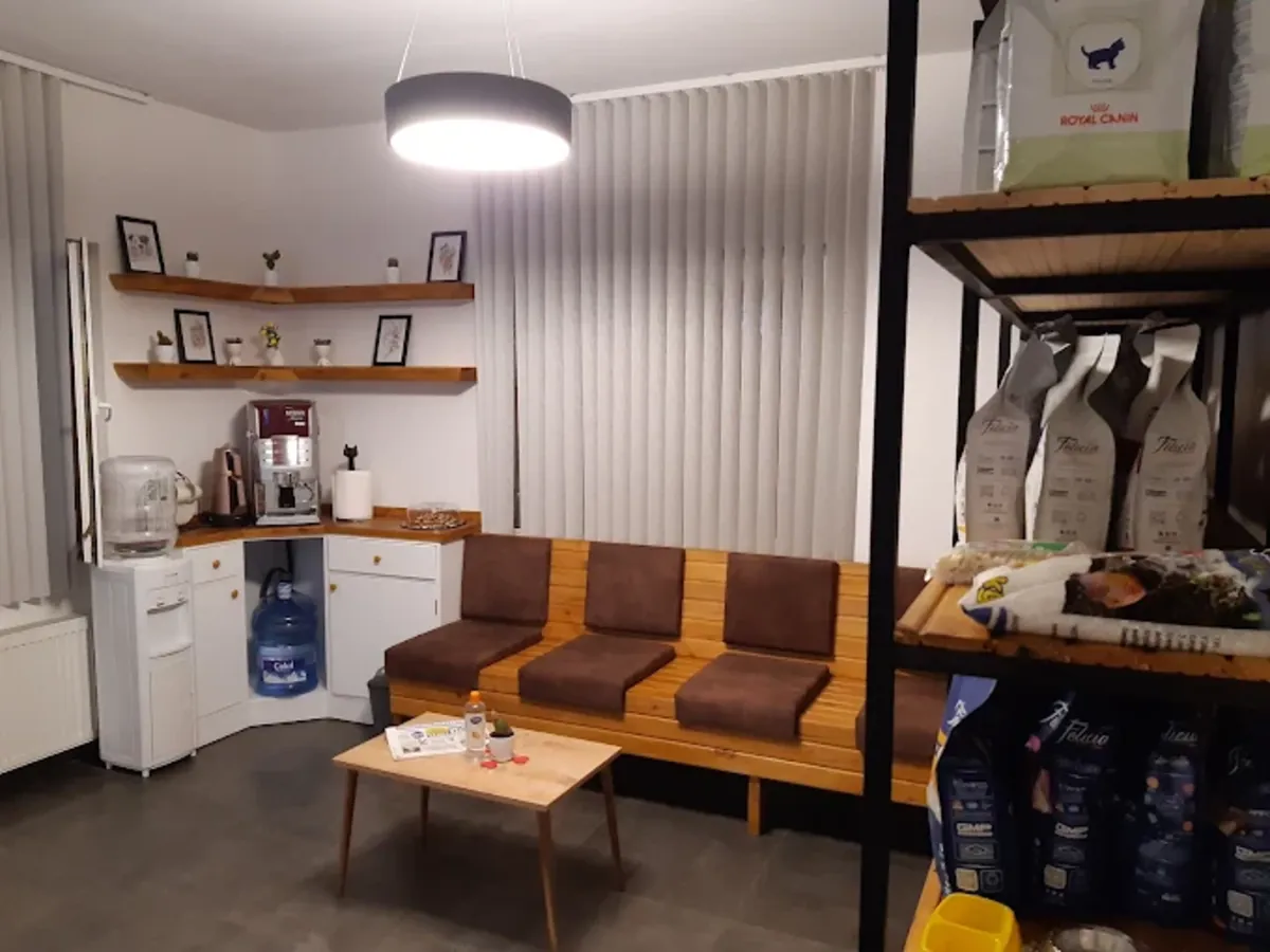 Pati Palace Veterinary Clinic – Reliable Veterinary Services in Istanbul - İstanbul