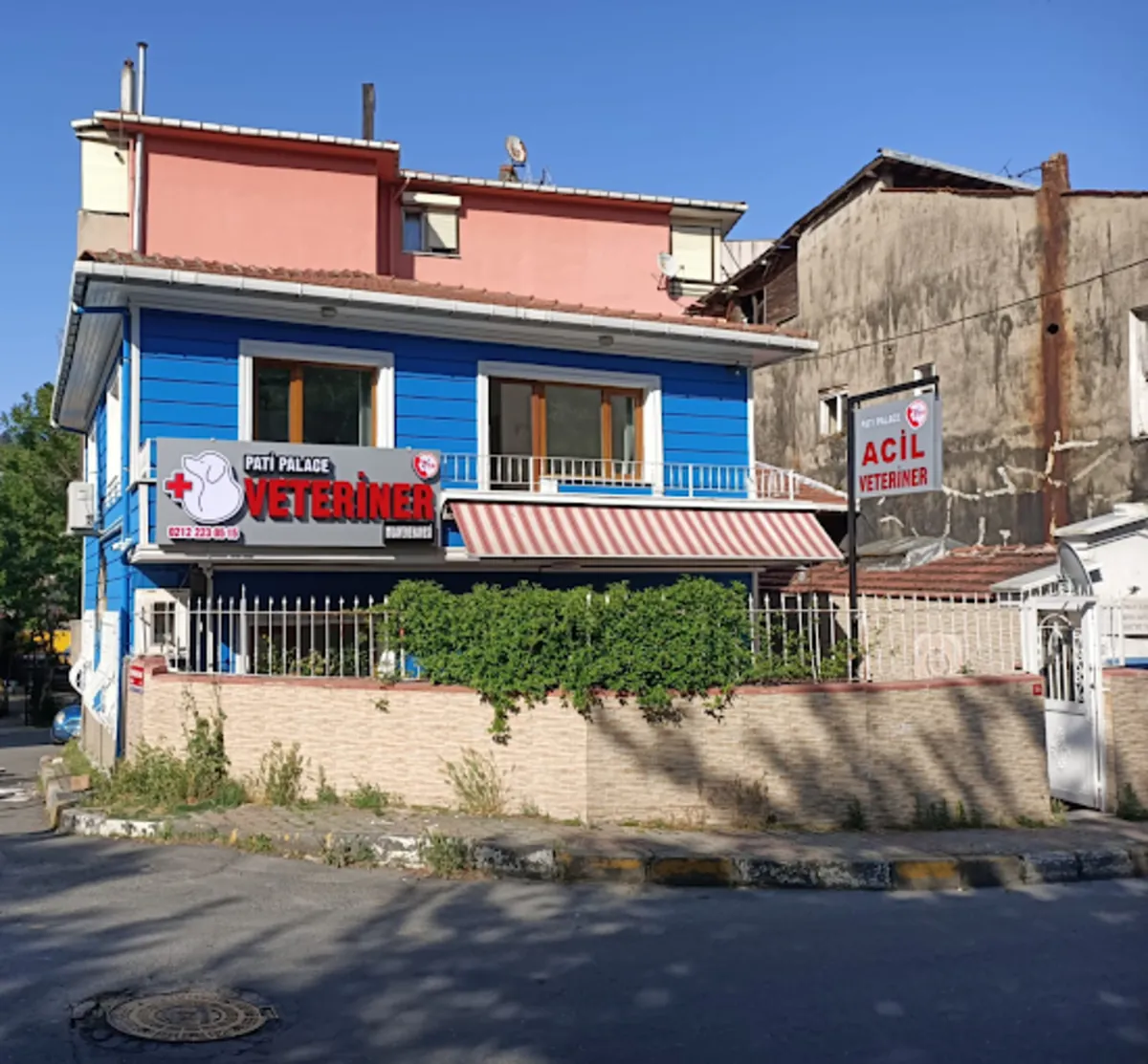 Pati Palace Veterinary Clinic – Reliable Veterinary Services in Istanbul - İstanbul