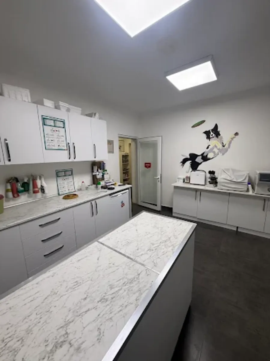 Pati Palace Veterinary Clinic – Reliable Veterinary Services in Istanbul - İstanbul