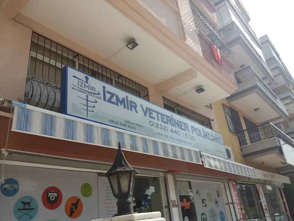 Clínica veterinaria de Izmir: servicios veterinarios confiables en Karşıyaka - İzmir