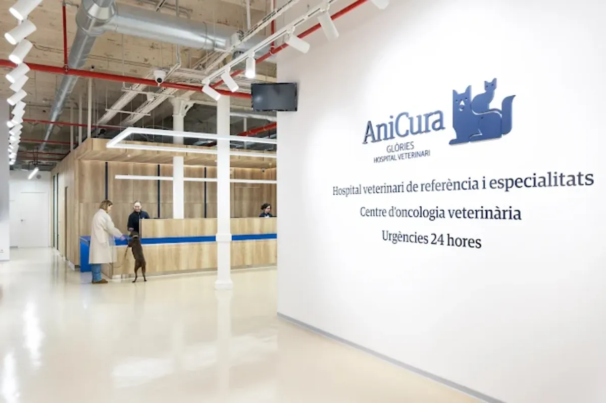 Glòries Veterinary Hospital – Comprehensive veterinary care in Barcelona - Barcelona
