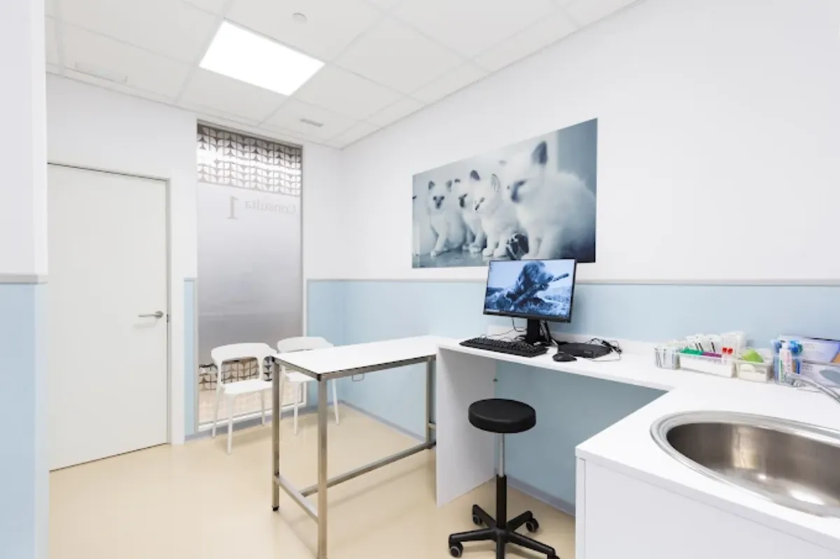 Glòries Veterinary Hospital – Comprehensive veterinary care in Barcelona - Barcelona