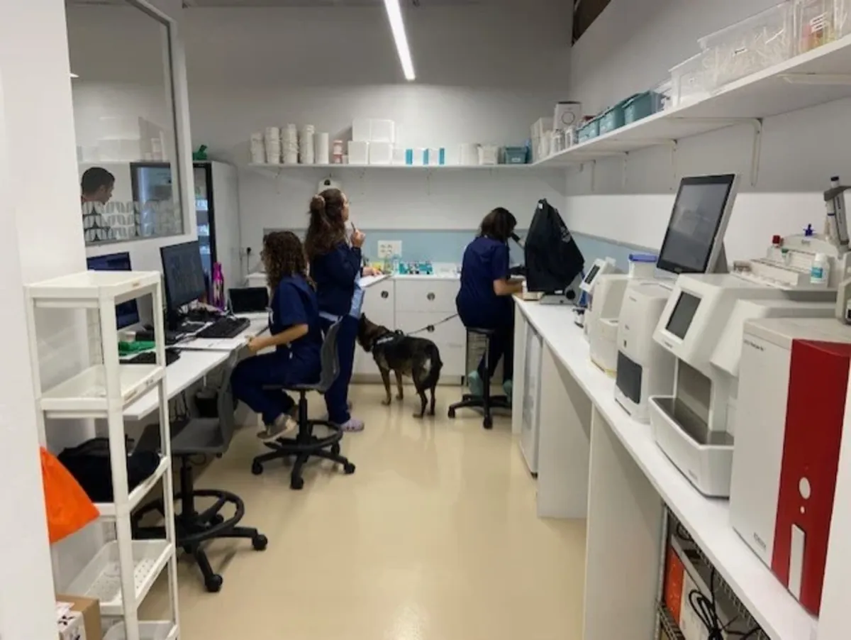 Glòries Veterinary Hospital – Comprehensive veterinary care in Barcelona - Barcelona