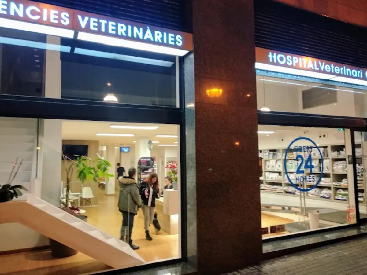 Glòries Veterinary Hospital – Comprehensive veterinary care in Barcelona - Barcelona