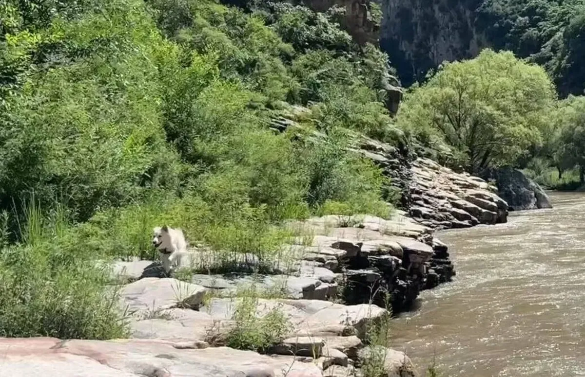 Chaoyang Park - Beijing