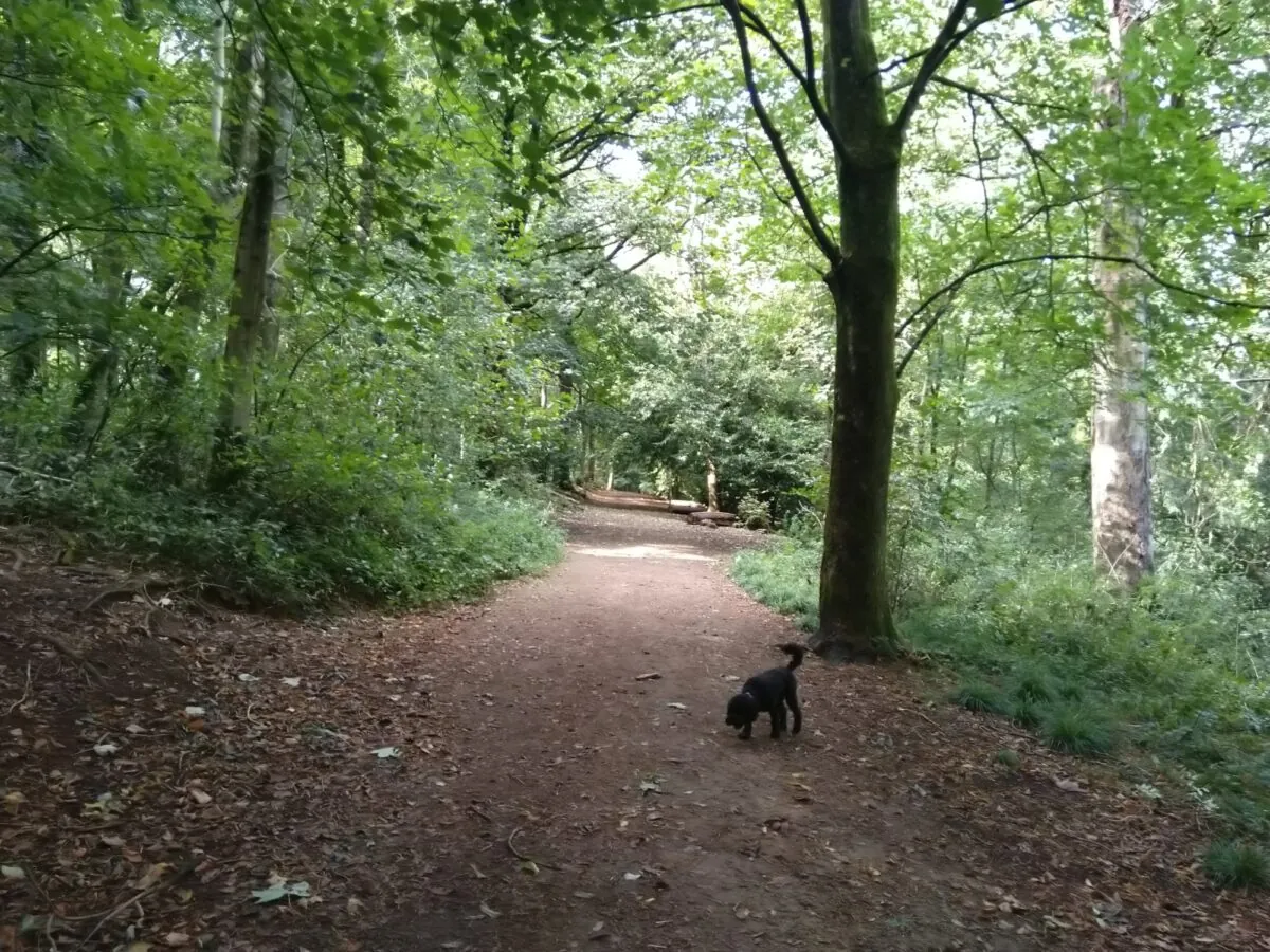 Stanmer Park - Brighton