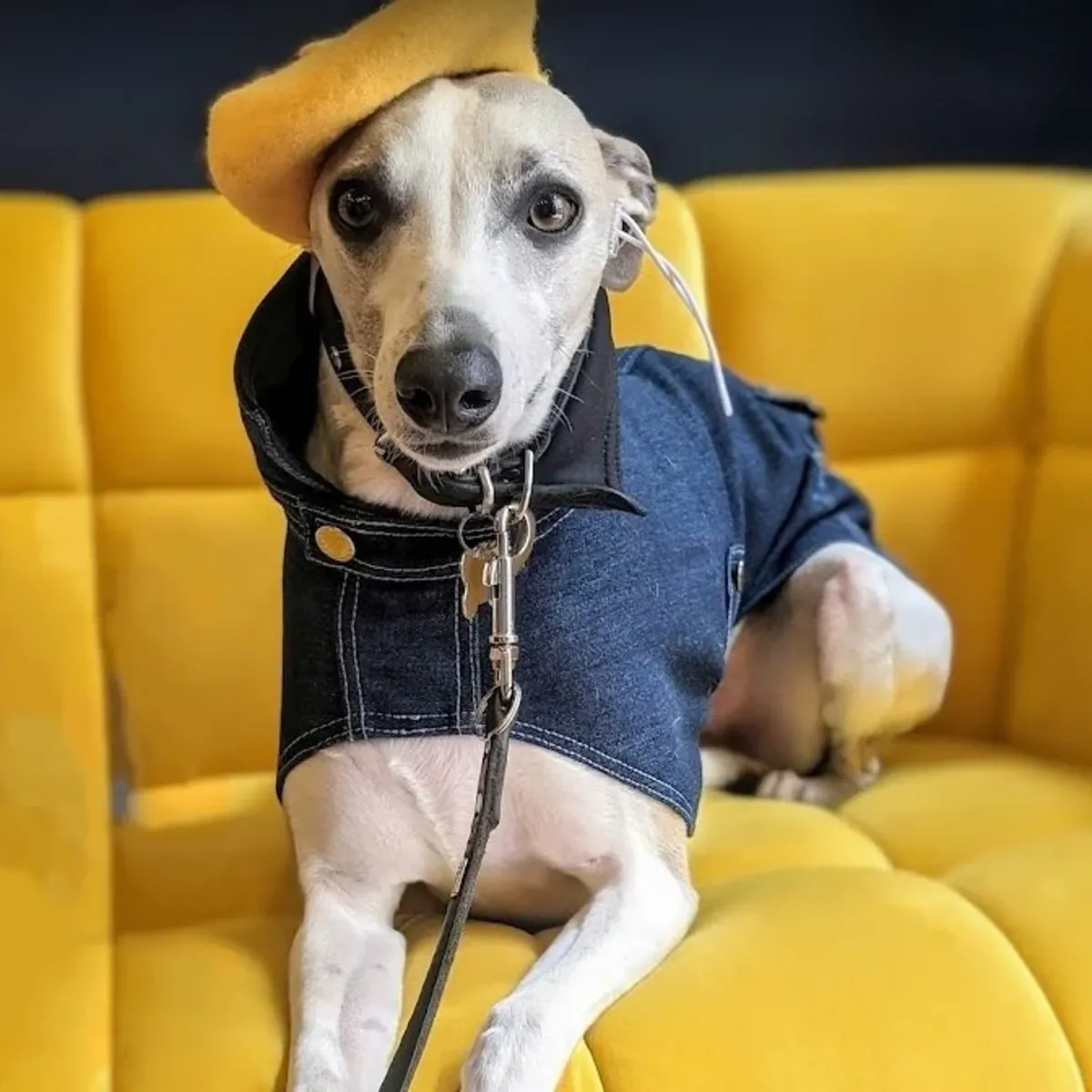 The Bone Apartment - Paris