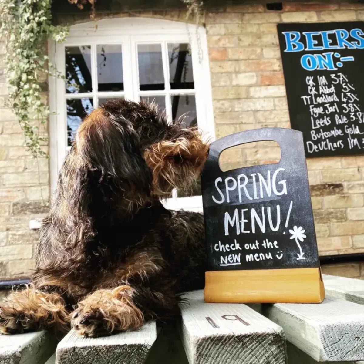 Özgür Basın - Cambridge