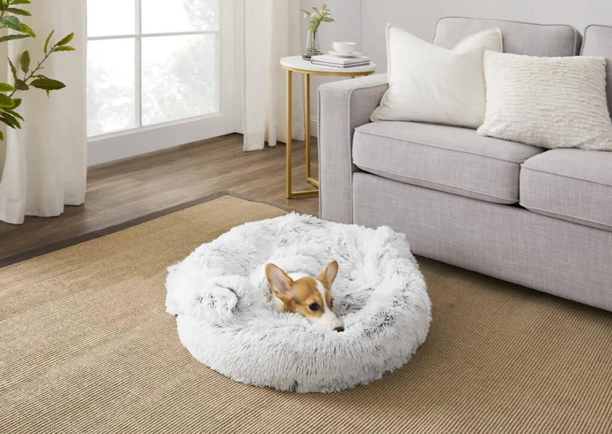 Recognizing Stress and Anxiety in Domestic Pets