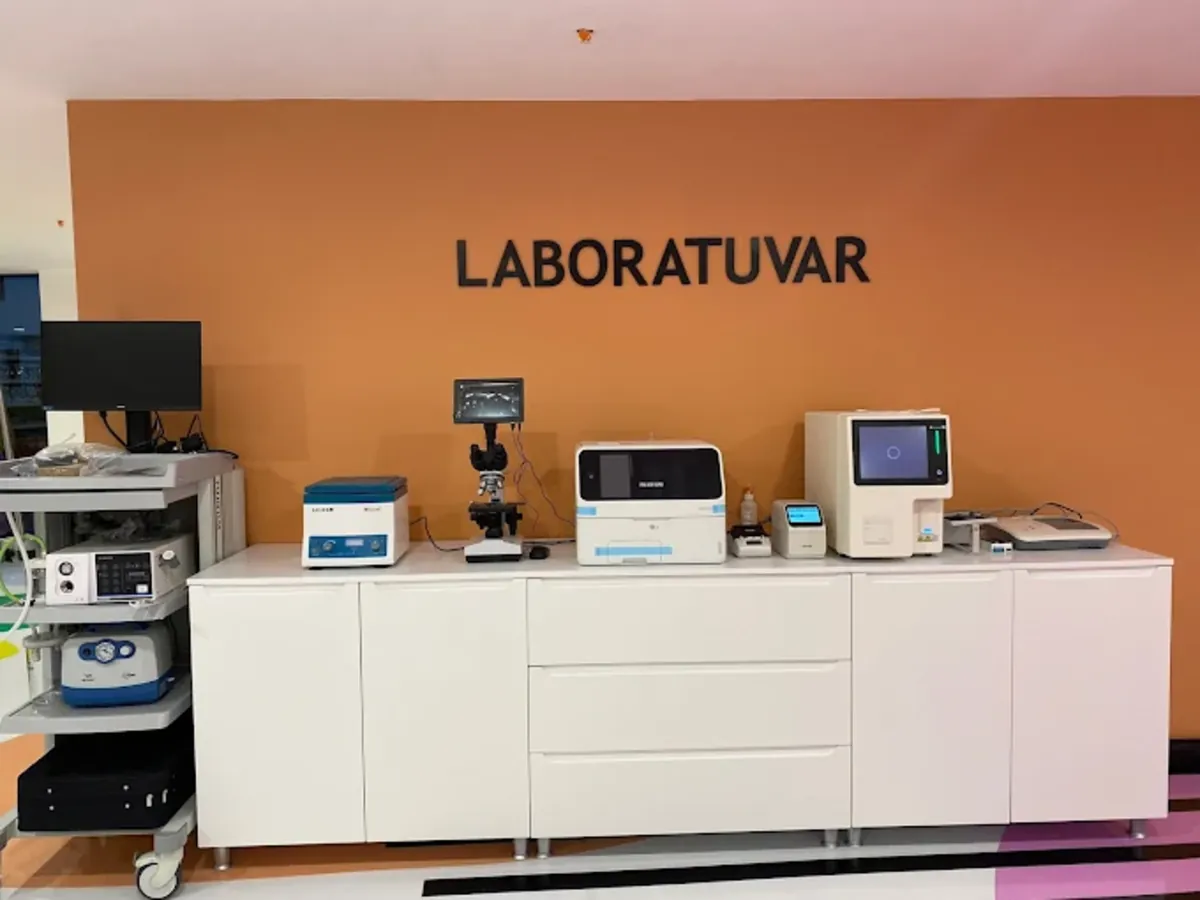 Pet House Trabzon Animal Hospital – 24/7 Veterinary & Emergency Care - Trabzon