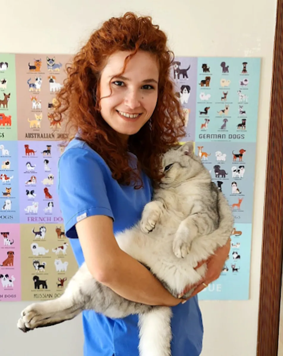 Vetes Veterinary Clinic – Ankara Cankaya Veterinary Services - Ankara