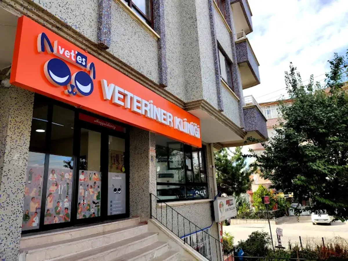 Vetes Veterinary Clinic – Ankara Cankaya Veterinary Services - Ankara