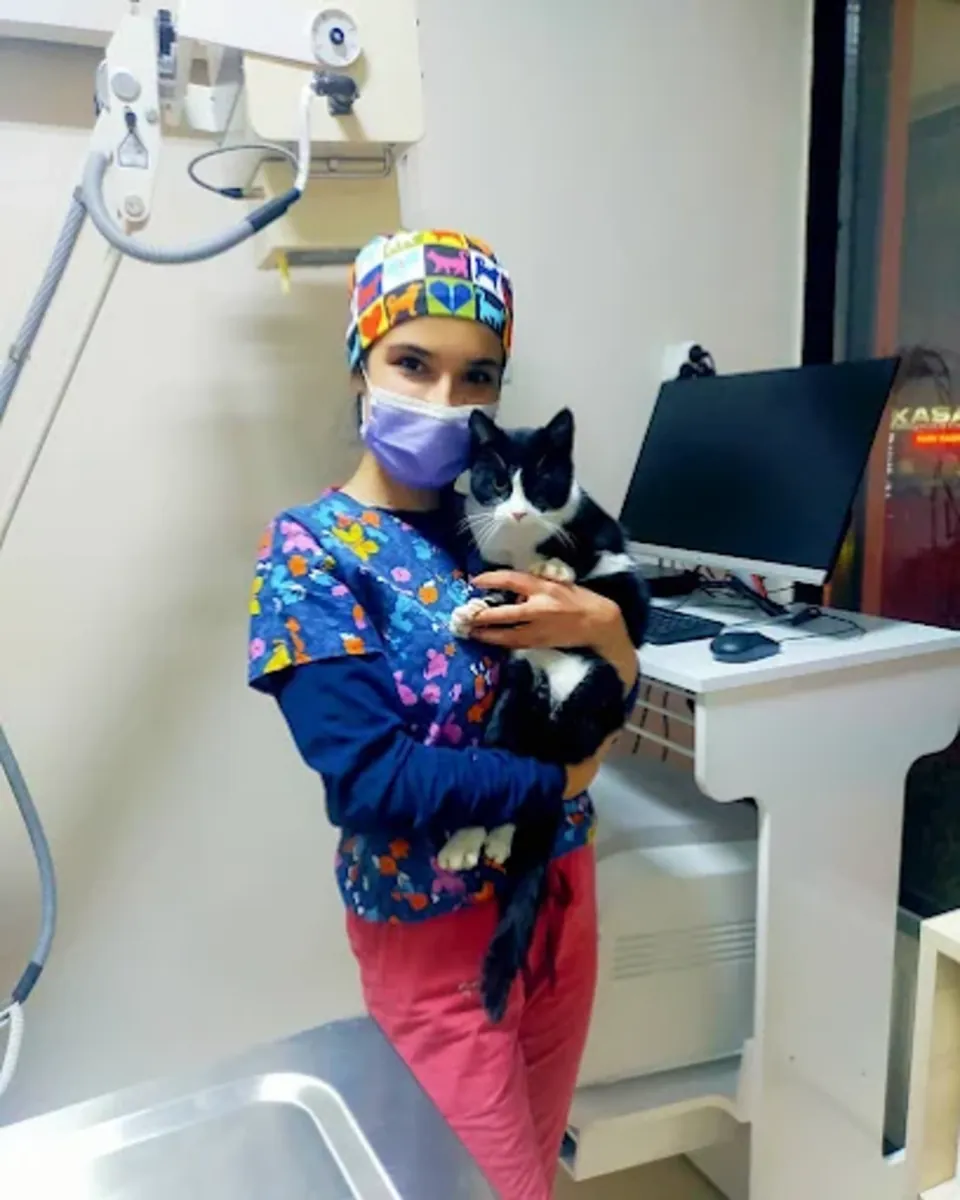 Vetes Veterinary Clinic – Ankara Cankaya Veterinary Services - Ankara