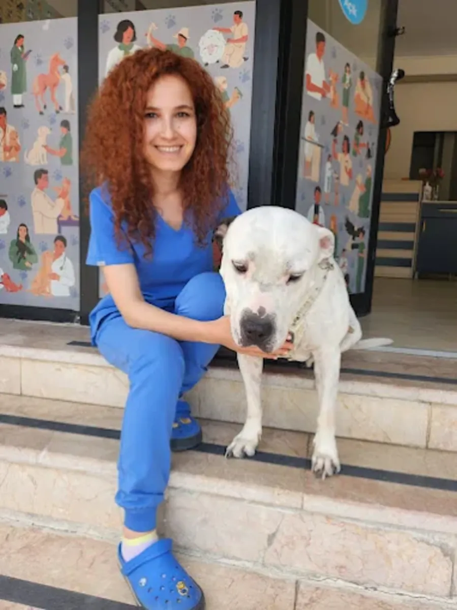 Vetes Veterinary Clinic – Ankara Cankaya Veterinary Services - Ankara