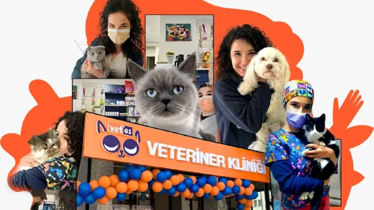 Vetes Veterinary Clinic – Ankara Cankaya Veterinary Services - Ankara