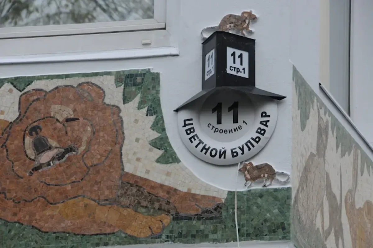 Veterinary Clinic Center – Professional animal care in Moscow - Moscow