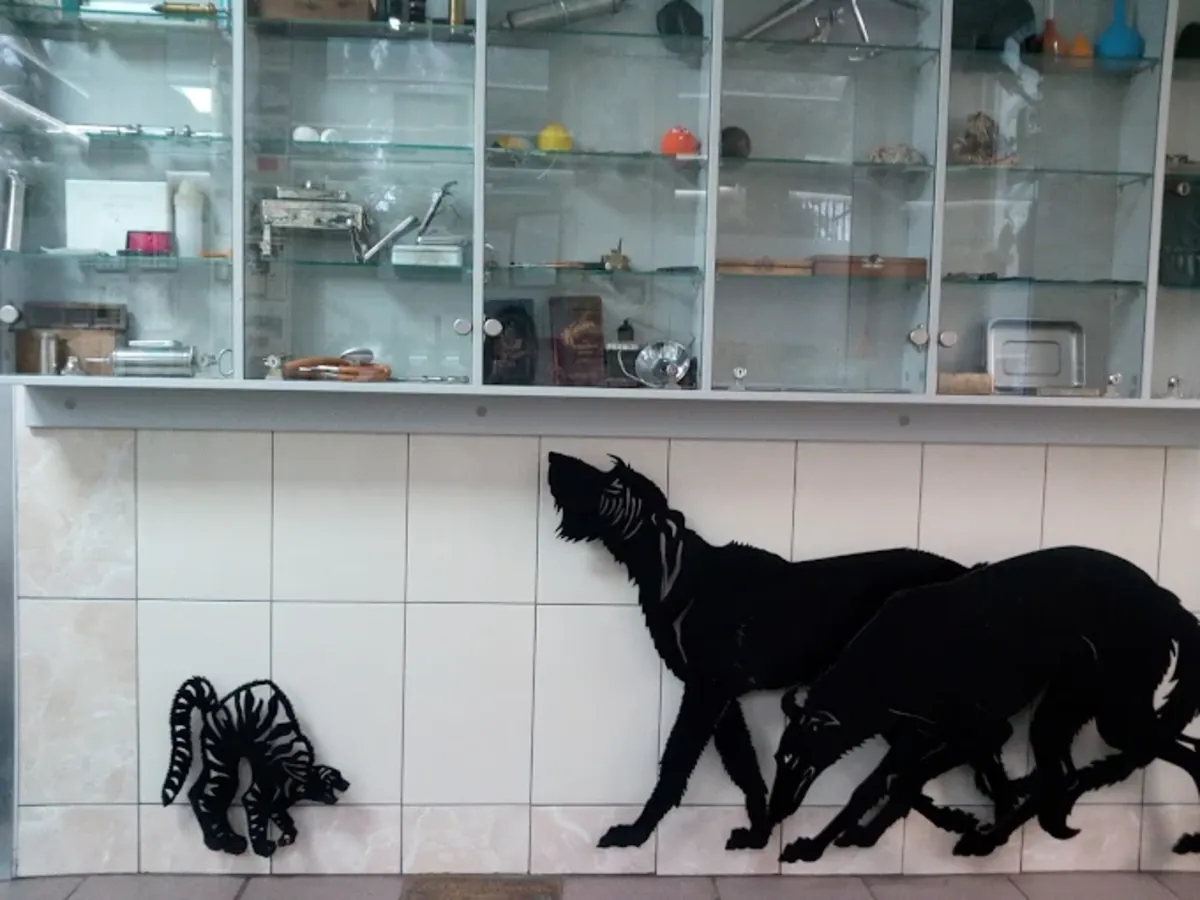 Veterinary Clinic Center – Professional animal care in Moscow - Moscow