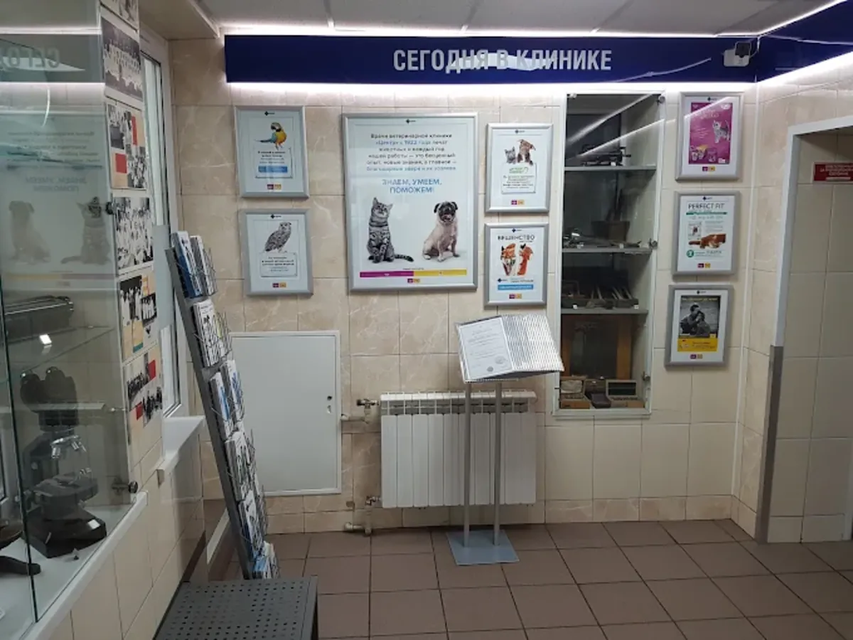Veterinary Clinic Center – Professional animal care in Moscow - Moscow