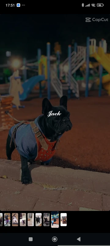 Jack