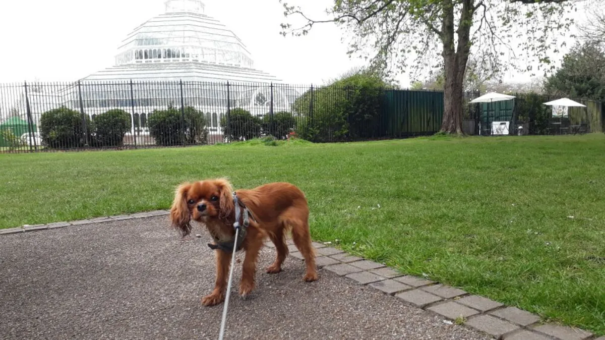 Сефтон Парк - Liverpool