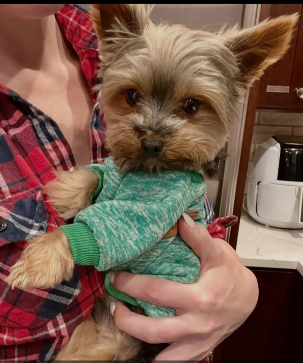 Sweet & Snuggly Sammy