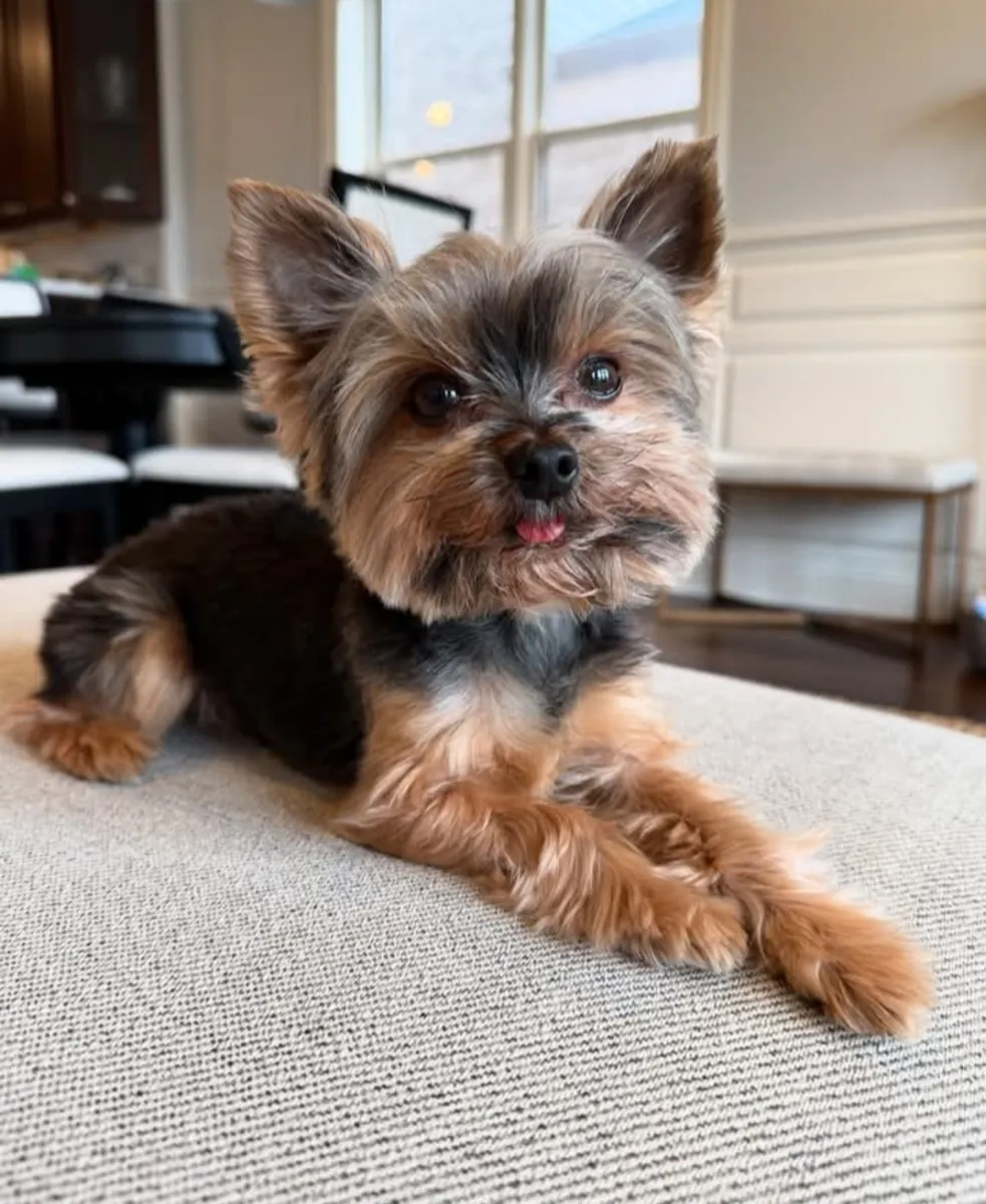 Sweet & Snuggly Sammy