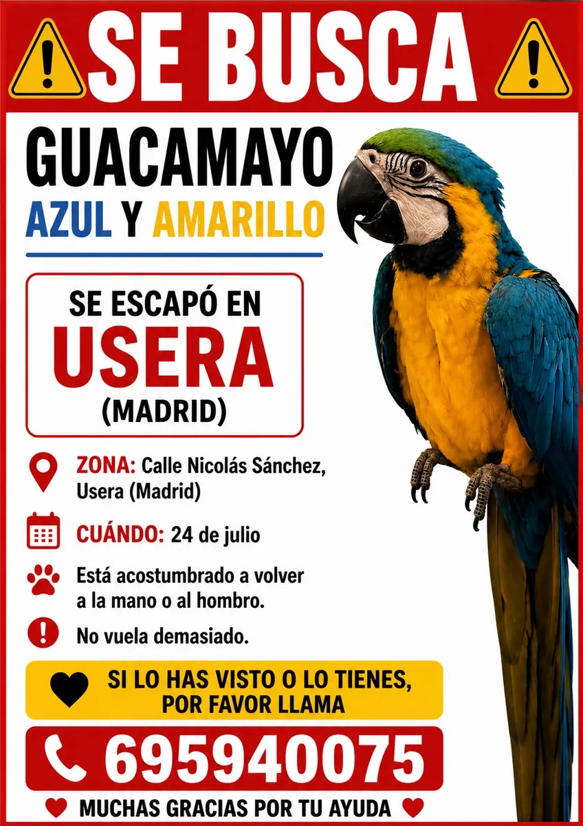Lost Macaw