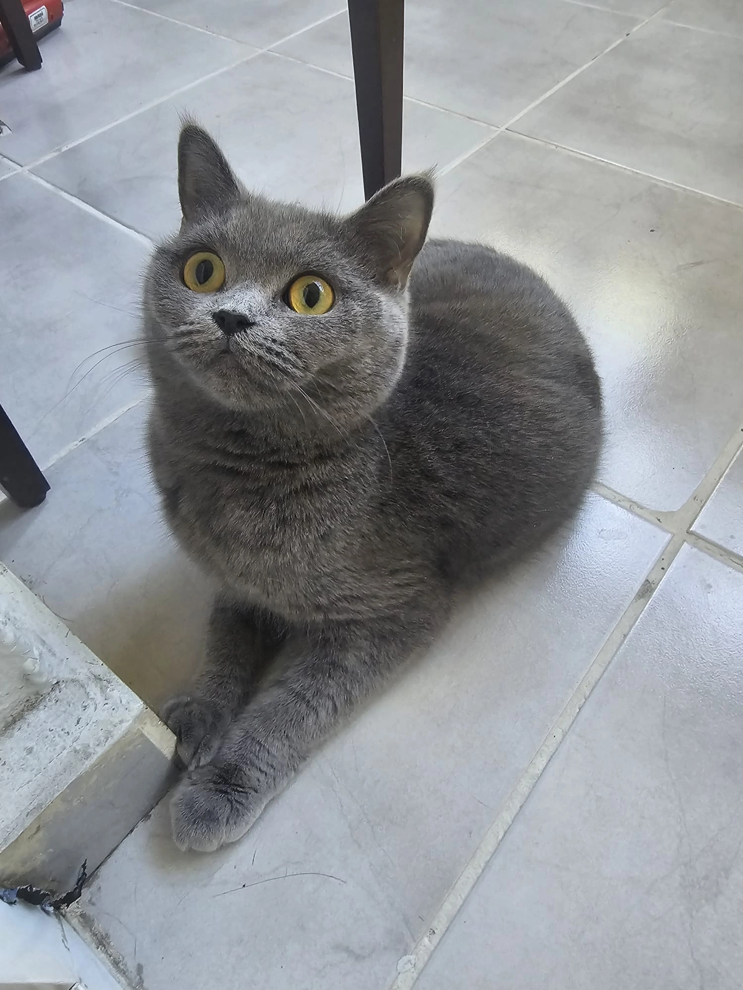 Süleyman