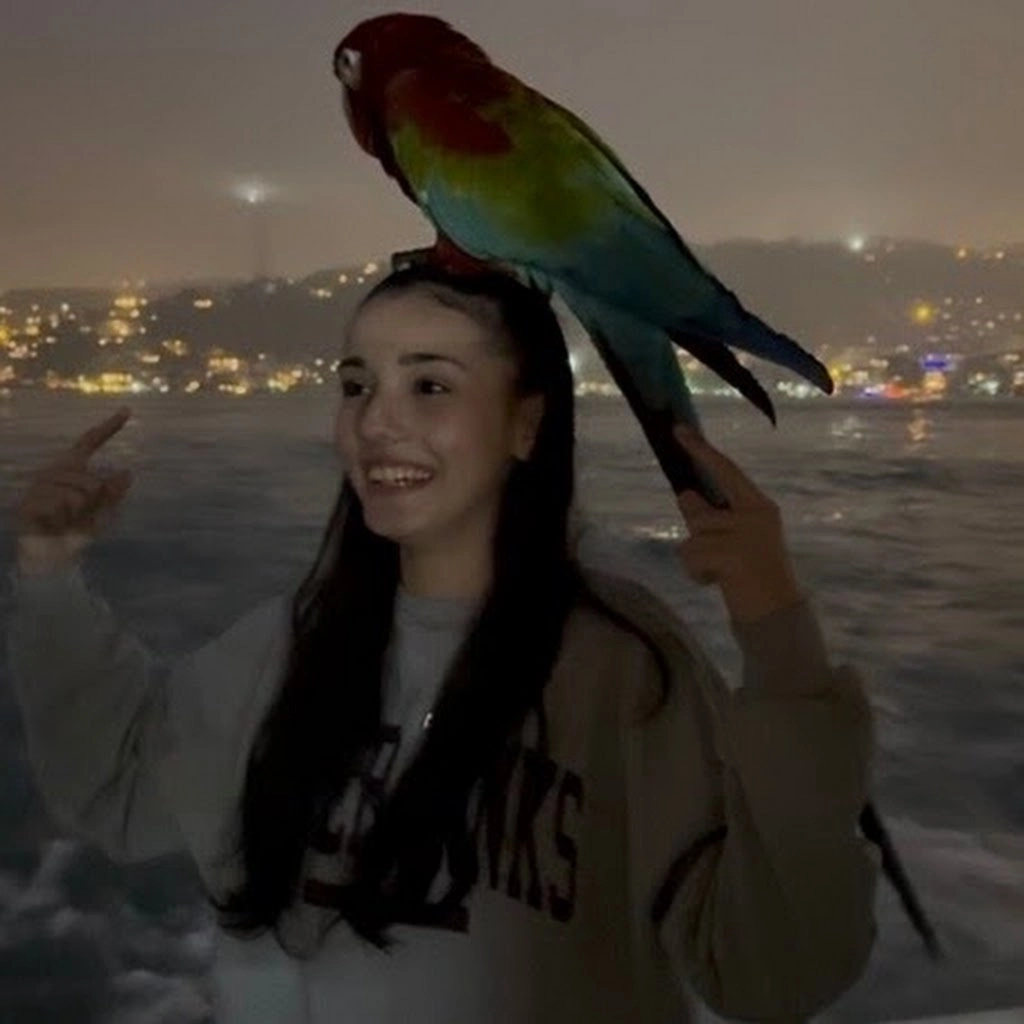 Ayşenur