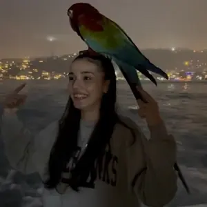 Ayşenur Sedef