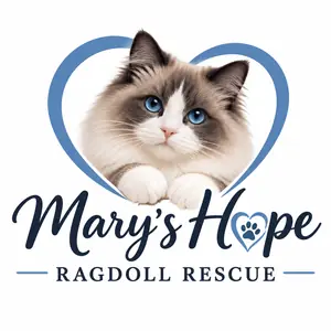 Mary's Hope Ragdoll Rescue