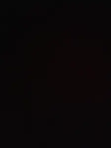 I want to adopt a parrot.