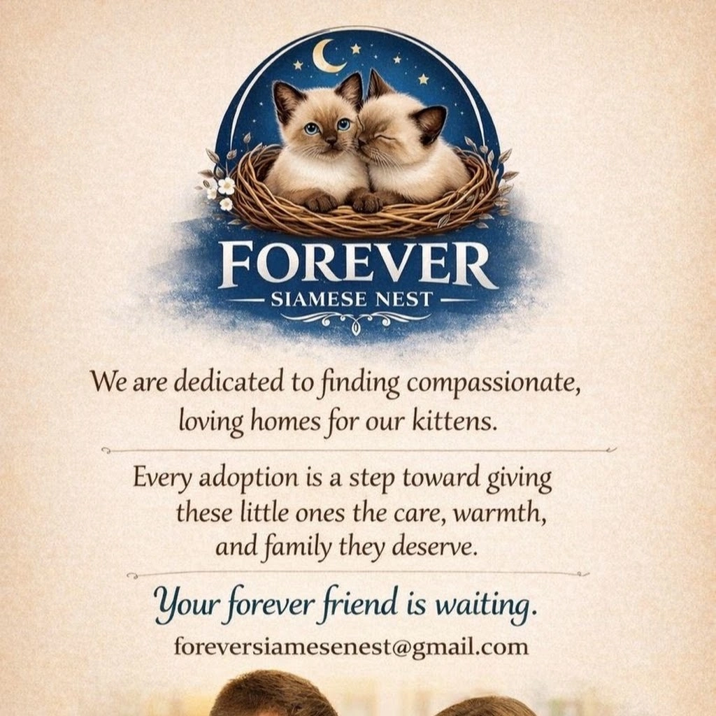Forever Siamese