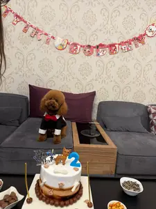 Simge Aydın