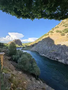 Berfin Balık