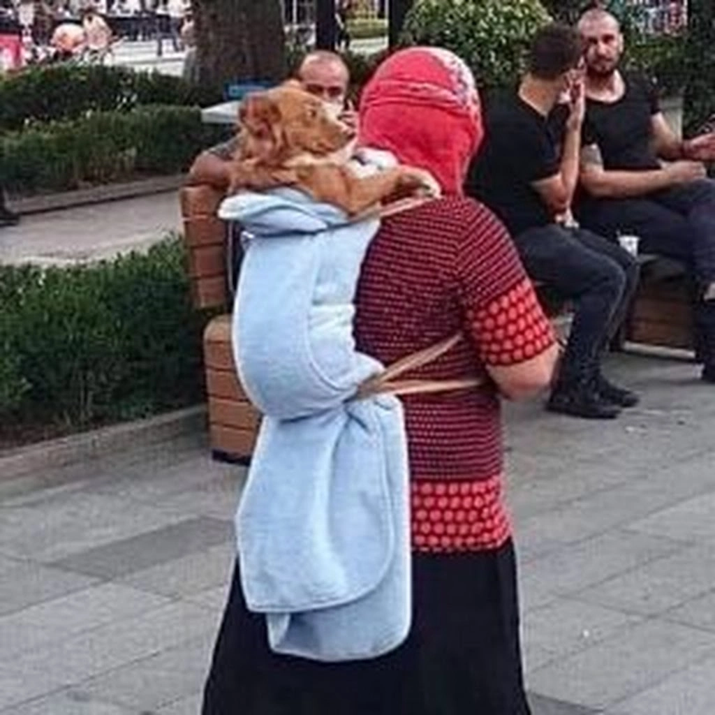 Göğe