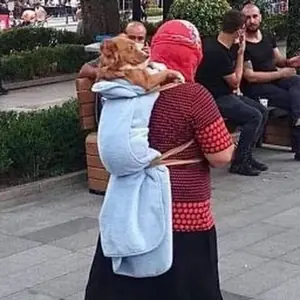 Göğe Bakalım