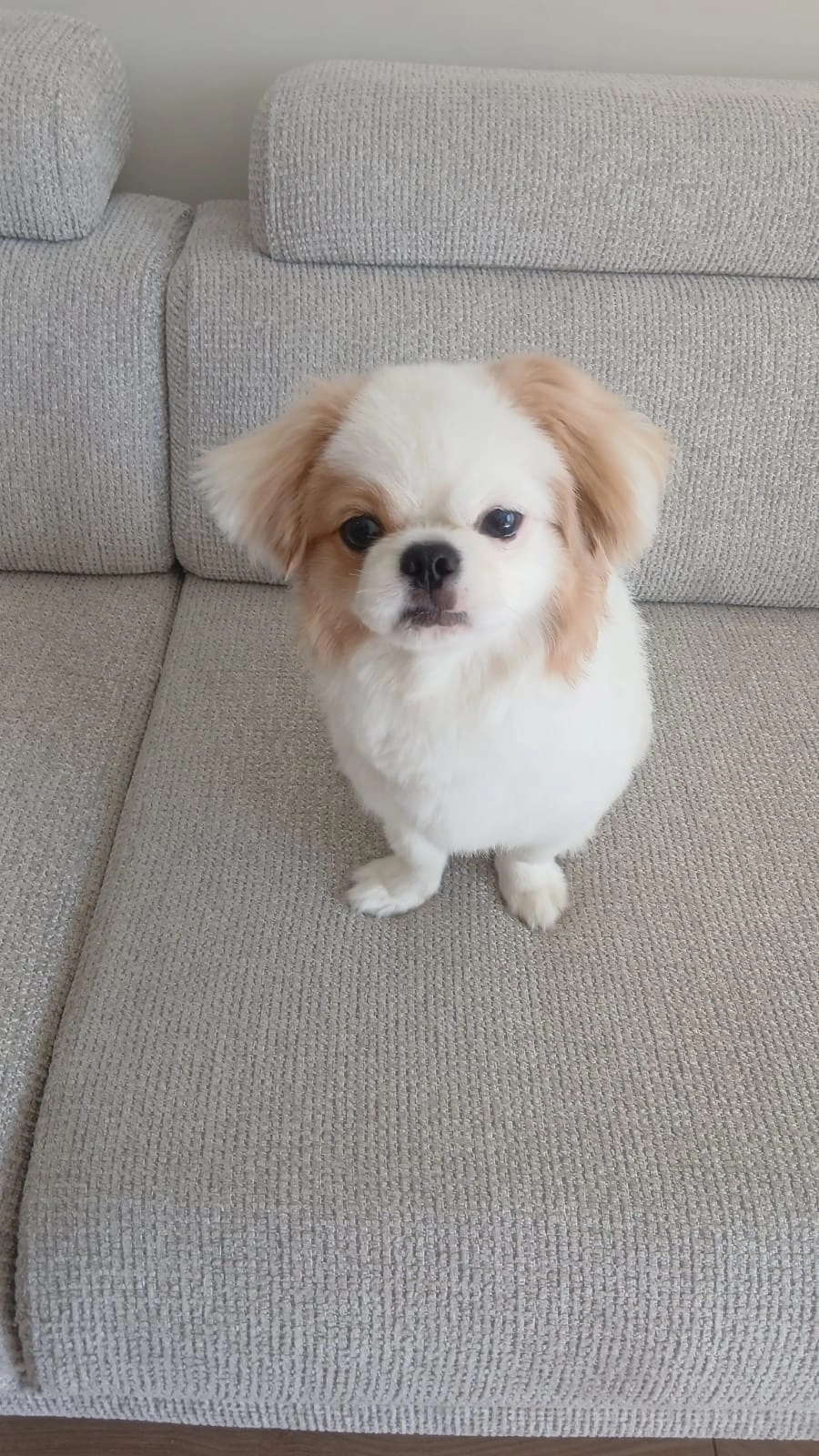 Aziz